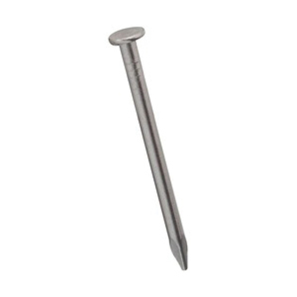 National Mfg Co Common Nail, 3/4 in L, Stainless Steel 831119144